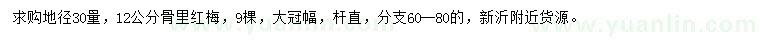 求購30量12公分骨里紅梅