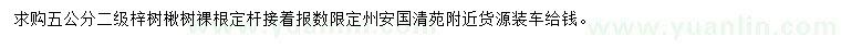 求購5公分梓樹、楸樹