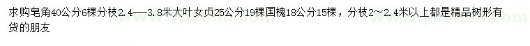 求購(gòu)皂角、大葉女貞、國(guó)槐