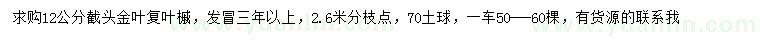 求購(gòu)12公分金葉復(fù)葉槭