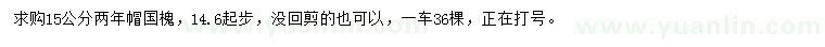 求購14.6公分以上國槐