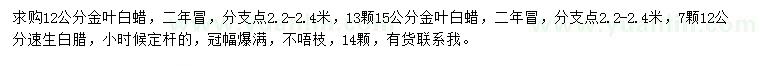 求購12、15公分金葉白蠟、12公分速生白蠟