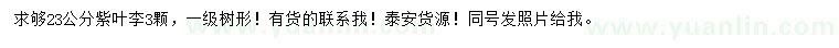 求購23公分紫葉李