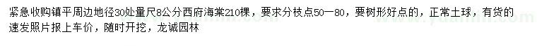 求購(gòu)30量8公分西府海棠