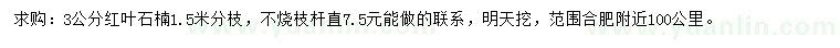 求購3公分紅葉石楠