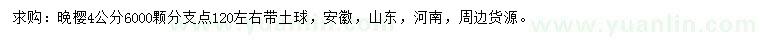 求購(gòu)4公分晚櫻