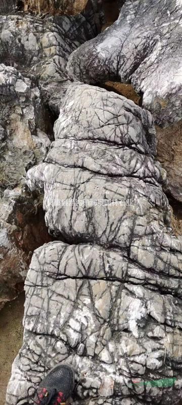 龜紋石假山