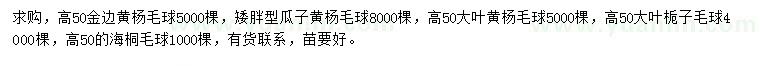 求購金邊黃楊球、瓜子黃楊球、大葉黃楊球等