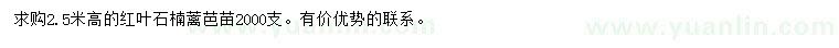 求購(gòu)高2.5米紅葉石楠