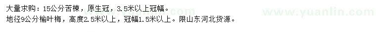 求購15公分苦楝、地徑9公分榆葉梅