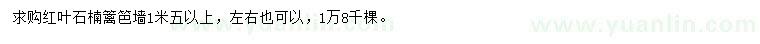 求購1.5米以上紅葉石楠