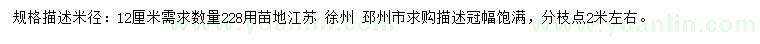 求購米徑12公分美國紅楓