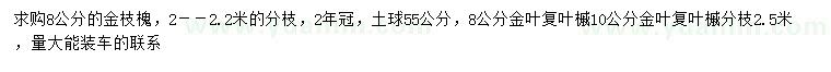 求購8、10公分金葉復(fù)葉槭