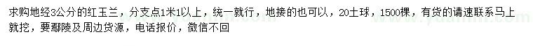 求購地經(jīng)3公分紅玉蘭