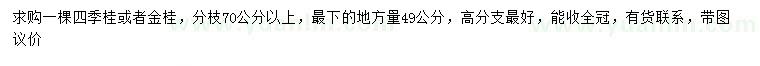 求購49公分以上四季桂、金桂