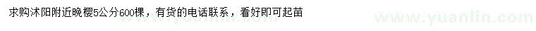 求購5公分晚櫻