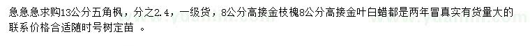 求購五角楓、金枝槐、金葉白蠟