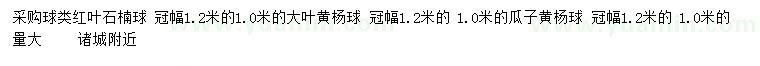 求購紅葉石楠球、大葉黃楊球、瓜子黃楊球