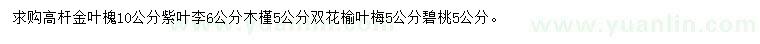 求購(gòu)金葉槐、紫葉李、木槿等