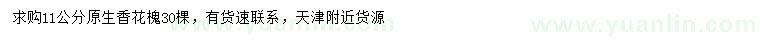 求購11公分香花槐