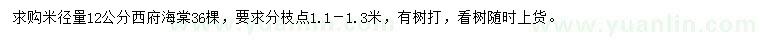 求購米徑12公分西府海棠