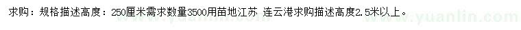 求購高2.5米以上北海道黃楊