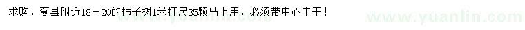 求購(gòu)1米打尺18-20公分柿子樹(shù)