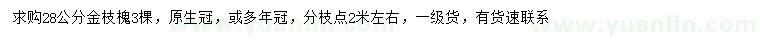 求購28公分金枝槐