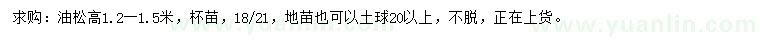 求購高1.2-1.5米油松