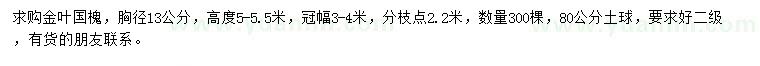 求購胸徑13公分金葉國槐