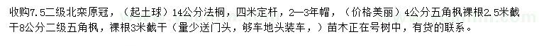 求購北欒、法桐、五角楓