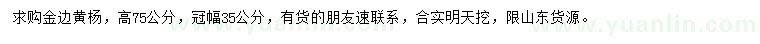 求購高75公分金邊黃楊