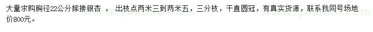 求購胸徑22公分銀杏 