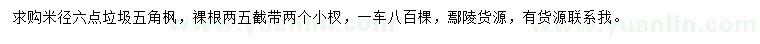 求購米徑6公分五角楓