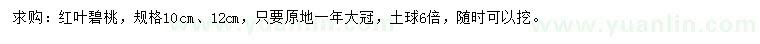 求購10、12公分紅葉碧桃