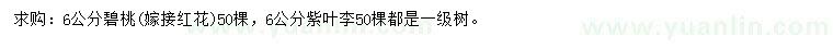 求購(gòu)6公分碧桃、紫葉李
