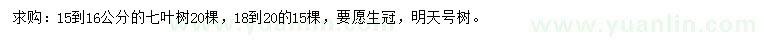 求購(gòu)15-16、18-20公分七葉樹