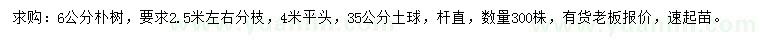 求購6公分樸樹