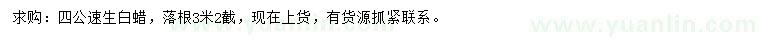 求購4公分速生白蠟