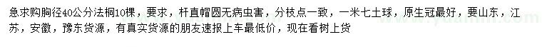 求購胸徑40公分法桐
