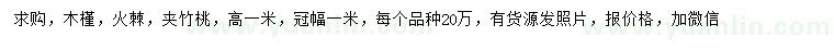 求購木槿、火棘、夾竹桃