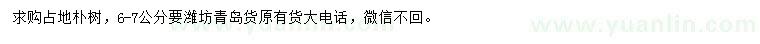 求購6-7公分樸樹