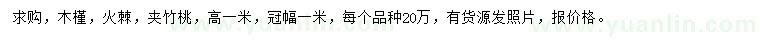 求購木槿、火棘、夾竹桃