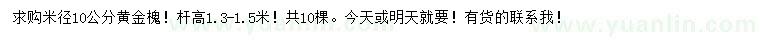 求購米徑10公分黃金槐