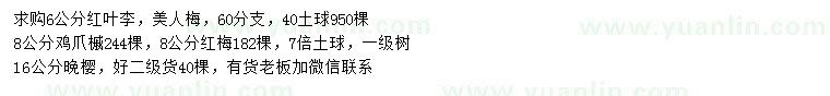 求購紅葉李、美人梅、雞爪槭等