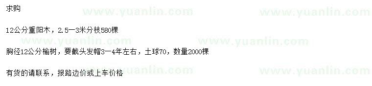 求購12公分重陽木、胸徑12公分榆樹