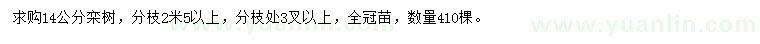 求購(gòu)14公分欒樹(shù)