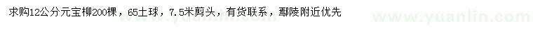 求購12公分元寶柳
