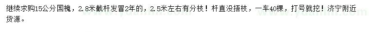 求購15公分國槐