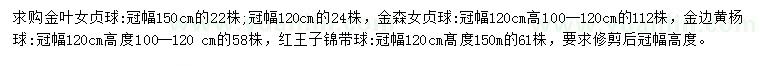 求購金葉女貞球、金森女貞球、金邊黃楊球等